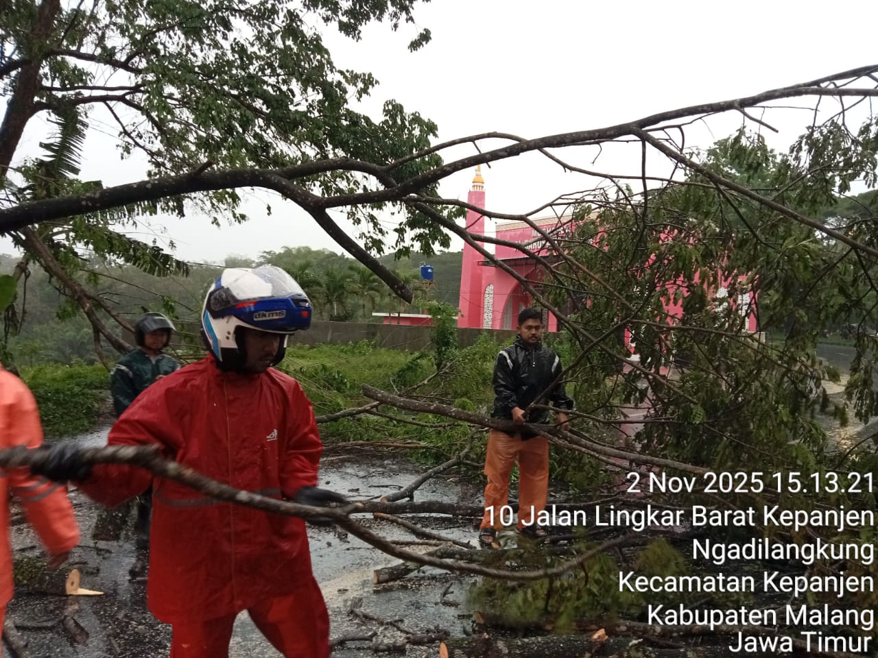 tugujatim pohon tumbang