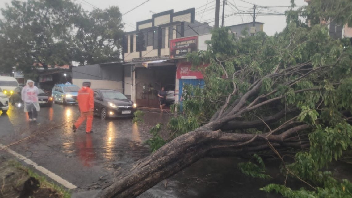 Hujan Angin Surabaya Sebabkan 18 Pohon Tumbang, Reklame Roboh dan Mobil Tertimpa Tiang Listrik 1 Hujan Angin Surabaya