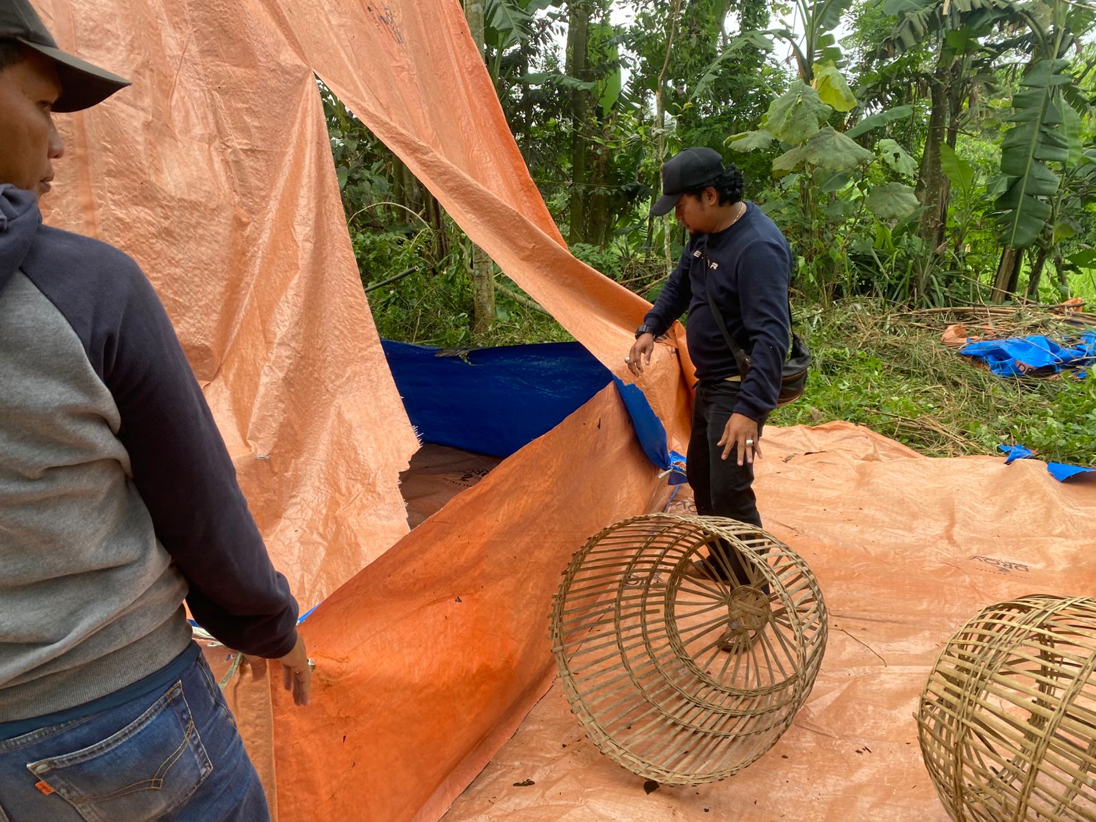 arena sabung ayam