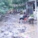Banjir Sungai Bedadung Jember