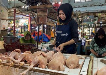 Harga daging ayam.