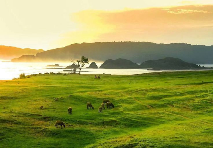 Wisata di Lombok Akhir Tahun, Nikmati Pesona Pantai Tanjung Aan Lengkap dengan Cara Berangkatnya! 4 Wisata Pantai Tanjung Aan Lombok.