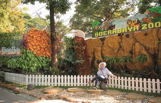 Liburan Akhir 2025, Kebun Binatang Surabaya Datangkan Niken Salindri hingga Seru Beri Makan Satwa 2 Promo Kebun Binatang Surabaya.