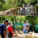 Liburan Akhir 2025, Kebun Binatang Surabaya Datangkan Niken Salindri hingga Seru Beri Makan Satwa 13 Kebun Binatang Surabaya.