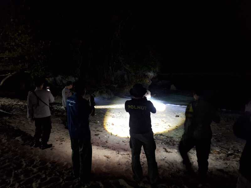 Buaya di Pantai Pasir Panjang Malang.