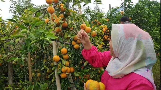 Wisata Anti Macet! 11 Hidden Gems di Malang Segarkan Pikiran saat Awal Tahun 4 Rekomendasi hidden gems di Malang.