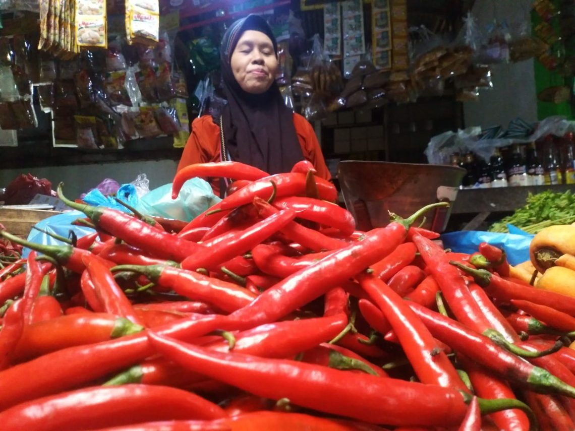 Harga Cabai