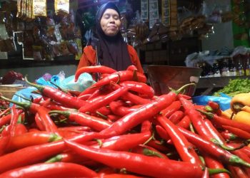 Harga Cabai