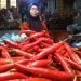 Harga Cabai di Pasar Tuban Melejit Hingga Rp70 Ribu 12 Harga Cabai