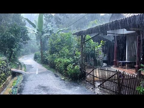 Sedia Payung dan Jas Hujan! Cuaca di Jatim Siaga Hujan Sangat Lebat pada 27 Desember 2025 1 BMKG prakirakan cuaca di Jatim siaga hujan sangat lebat pada Sabtu (27/12/2025). (Foto: Pinterest/Denise Amburgey)