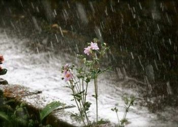 Cuaca di Jatim di Malam Tahun Baru