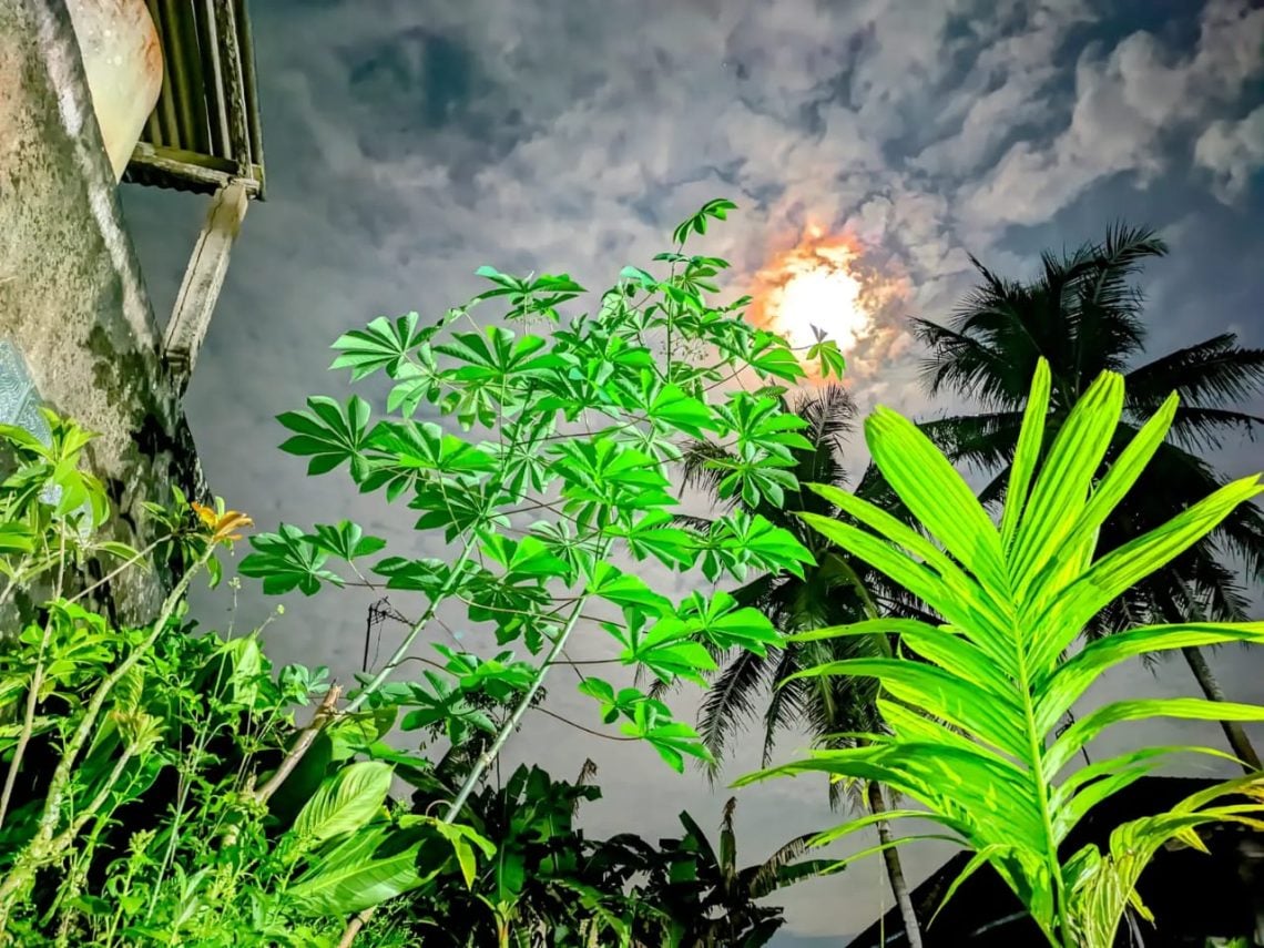 Aplikasi GCam Populer