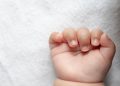 Potongan Bayi Baru Lahir