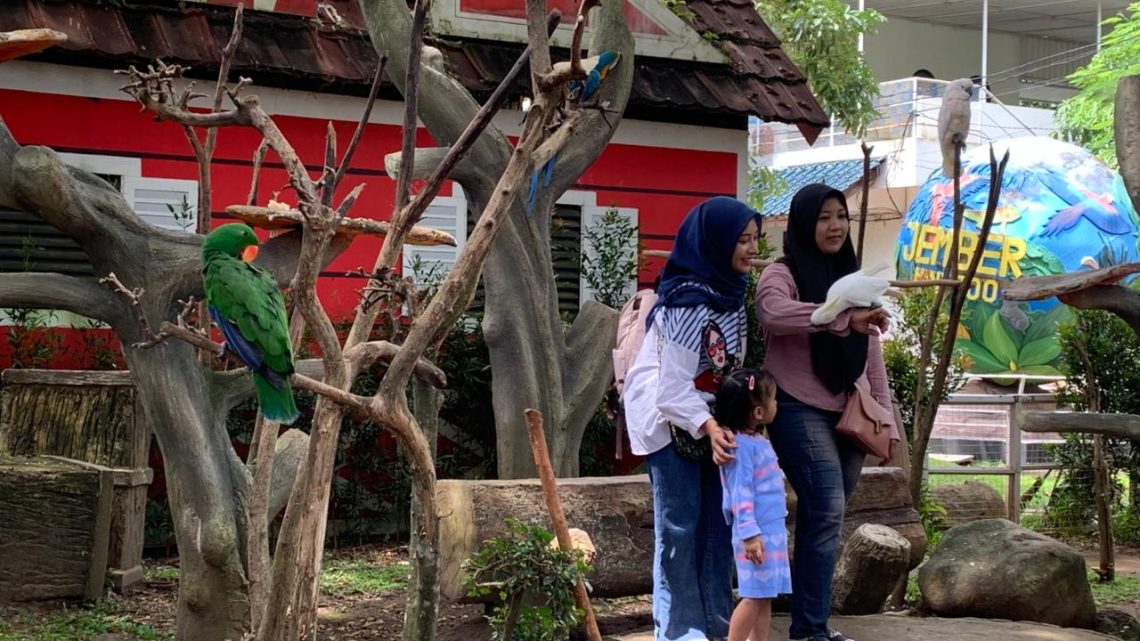 Jember Mini Zoo