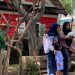 Jember Mini Zoo Pecahkan Rekor Pengunjung Tertinggi di Libur Natal 2025 dan Tahun Baru 2026 8 Jember Mini Zoo