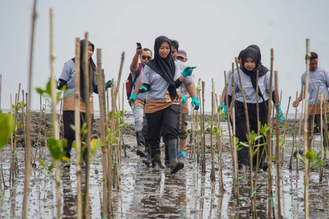 Langkah Awal Hijaukan Pesisir Lewat 1.000 Mangrove di Jawa Timur 7 tugujatim mangrove