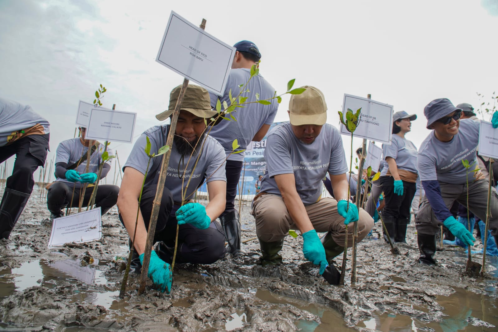 Langkah Awal Hijaukan Pesisir Lewat 1.000 Mangrove di Jawa Timur 8 tugujatim mangrove 1