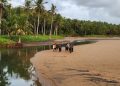 Bocah Delapan Tahun Tewas Terseret Arus Pantai Wonogoro Malang 3 Pantai Wonogoro Malang