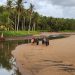 Pantai Wonogoro Malang
