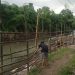 Sungai Bedadung Jember