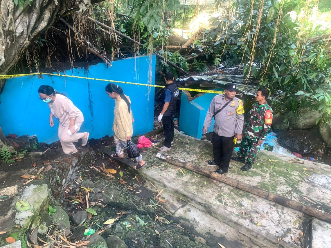 Pohon Beringin di Malang Tumbang