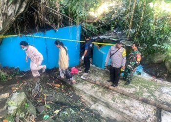 Pohon Beringin di Malang Tumbang