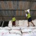 Transformasi Industri Pupuk Indonesia Wujudkan Swasembada Pangan Nasional 13 Pupuk Indonesia