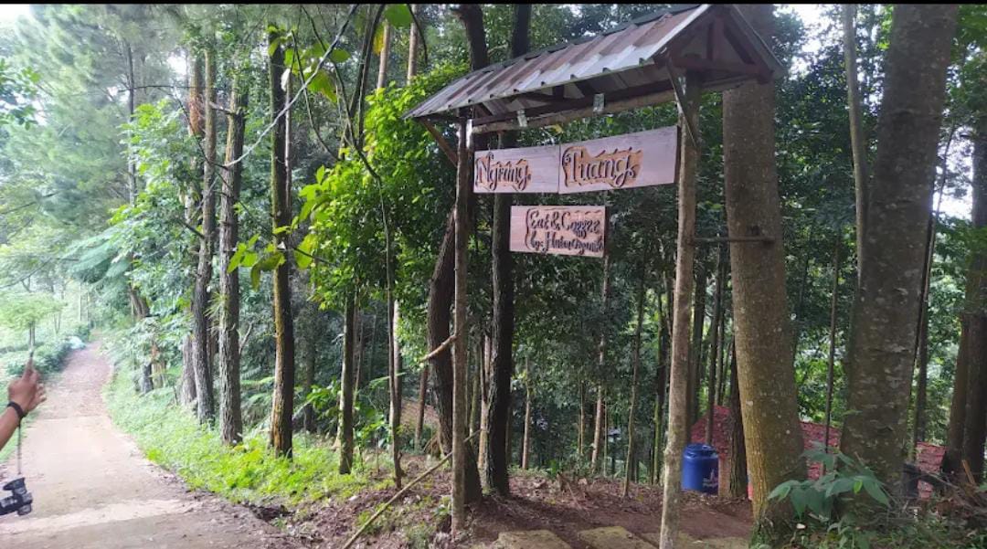 Viral Cerita Rosita Istiawan Bangun Hutan Organik Megamendung di Tengah Krisis Ekologi 2 Rosita Istiawan