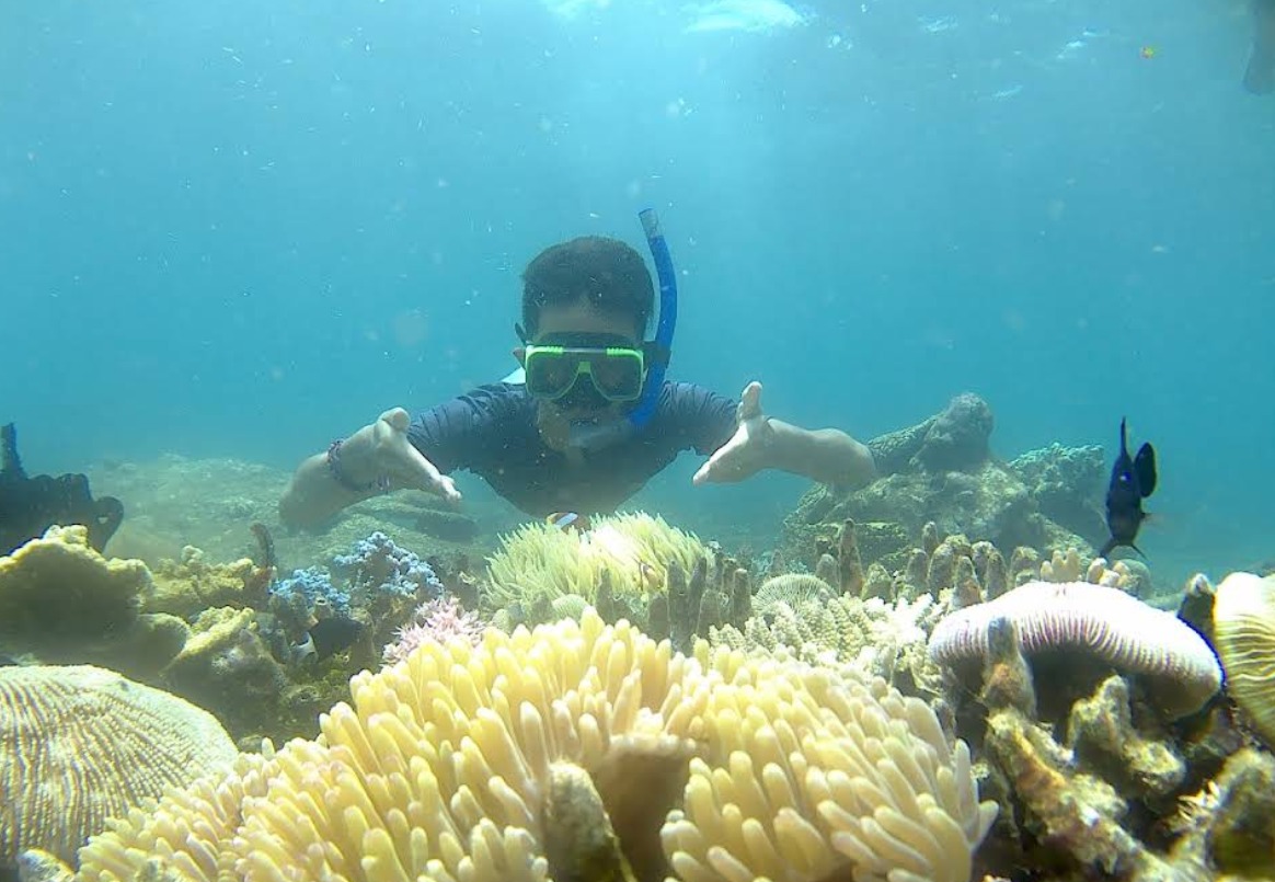 Taman Nasional Baluran