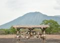 Destinasi wisata di Banyuwangi