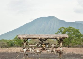 Destinasi wisata di Banyuwangi
