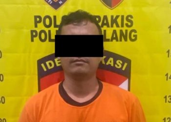 Main Layang-Layang