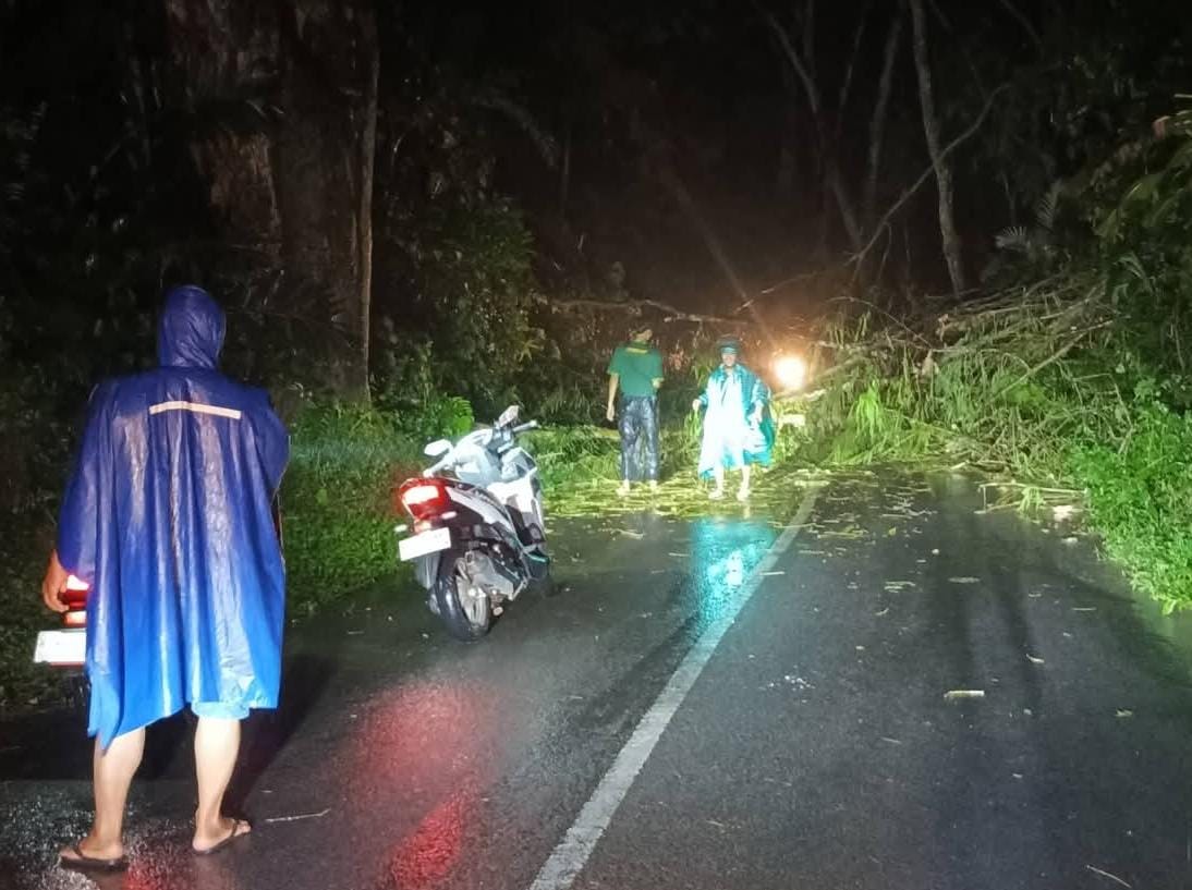 BPBD Ingatkan Potensi Angin Kencang di Mojokerto Tak Kenal Musim 5 Angin Kencang