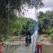 Warga Jember Gotong Royong Bangun Jembatan Secara Swadaya Pasca Roboh Diterjang Banjir
