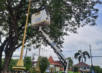 kabel optik