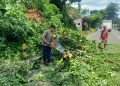 Cuaca Ekstrem! Angin Kencang Robohkan Pohon di Donomulyo dan Pakisaji 3 Cuaca Ekstrem