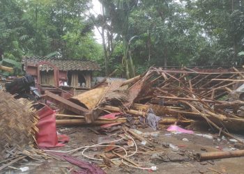 Rumah bambu di Jember