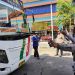 Prediksi Arus Balik Libur Nataru di Terminal Kertajaya Mojokerto Tembus 70 Persen 9 Terminal Kertajaya.