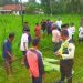Lansia Lumajang Tewas Tertabrak Kereta Api di Perlintasan Klakah, Sempat Hentikan Perjalanan KA Sritanjung 8 Lansia Jember.