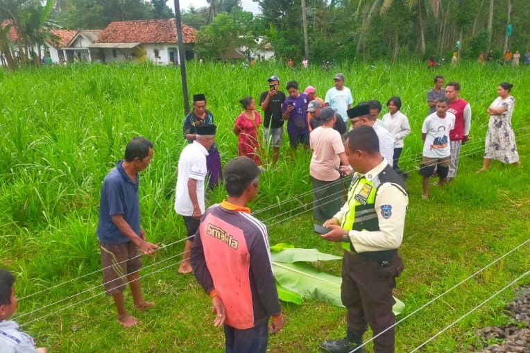 Lansia Lumajang Tewas Tertabrak Kereta Api di Perlintasan Klakah, Sempat Hentikan Perjalanan KA Sritanjung 1 Lansia Jember.