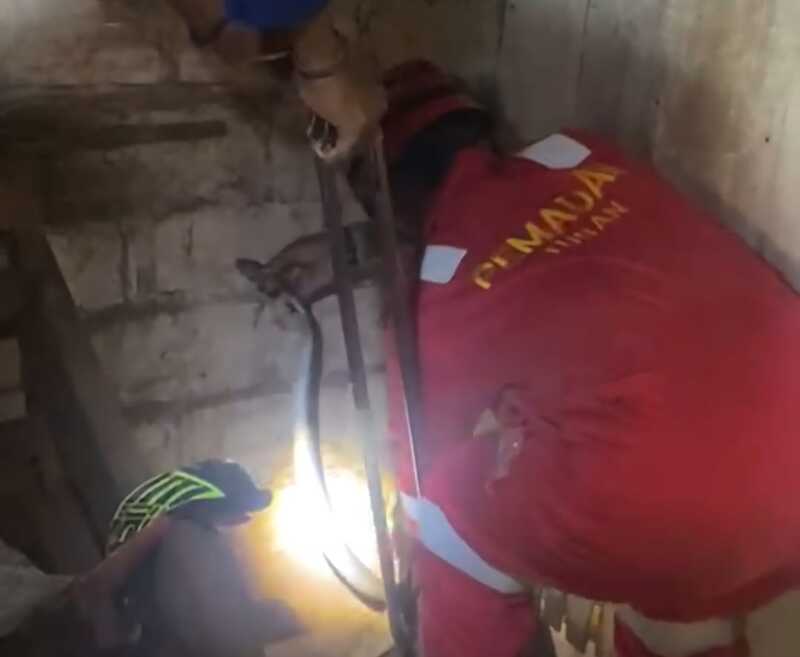 Laporan Damkar Tuban.