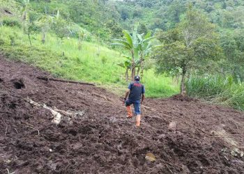 Longsor di Jabung.