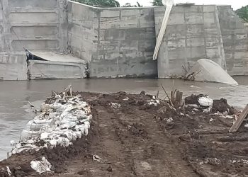 Dam di Jember.