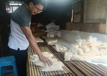 Harga Kedelai Meroket, Pengusaha Tempe di Jember Terpaksa Kurangi Produksi Puluhan Kilogram 1 Pengusaha tempe.