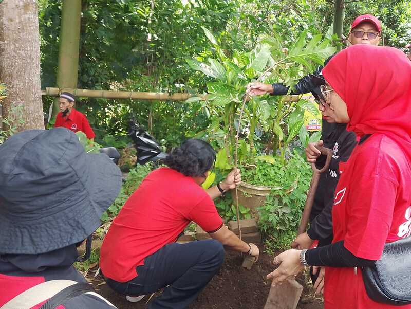 Megawati Ulang Tahun Ke-79, PDIP Kota Malang Beri Kado Tanam Pohon Sukun dan Mahoni 2 PDIP Kota Malang tanam pohon.