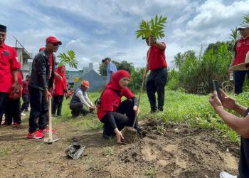 PDIP Kota Malang.