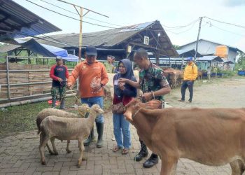 Petani Situbondo.