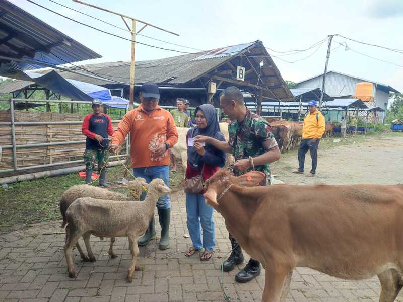 375 Ternak Digelontor untuk Petani Situbondo, Kompensasi Kawasan Strategis Nasional Bandara KHR. As'ad Syamsul Arifin 1 Petani Situbondo.
