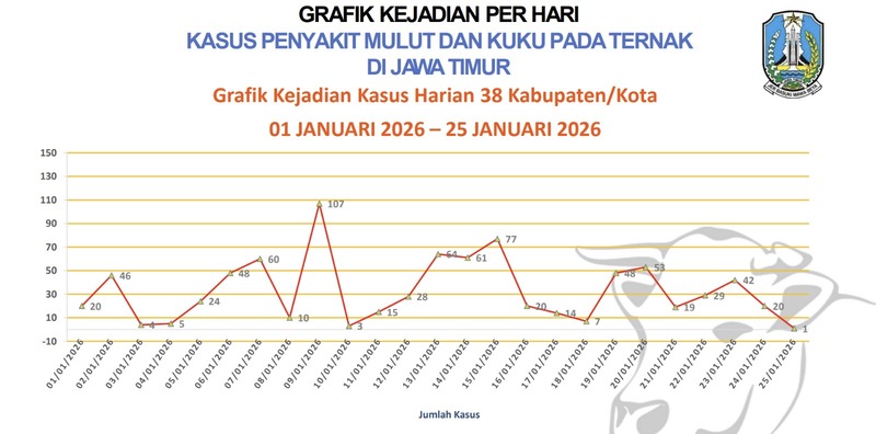 Kasus PMK Jatim.