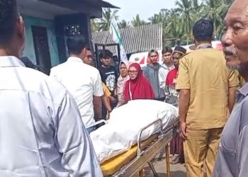 Pria di Jember.